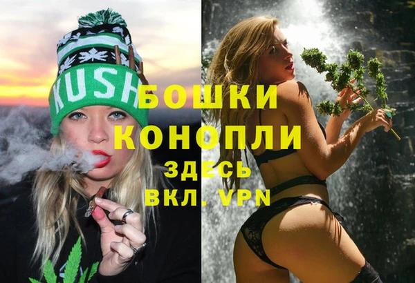 PSILOCYBIN Арсеньев