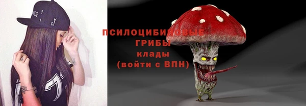 PSILOCYBIN Арсеньев