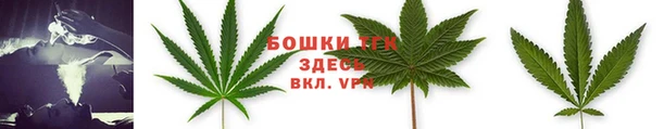 PSILOCYBIN Арсеньев