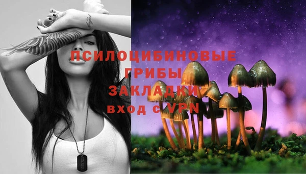 не бодяженный Аркадак