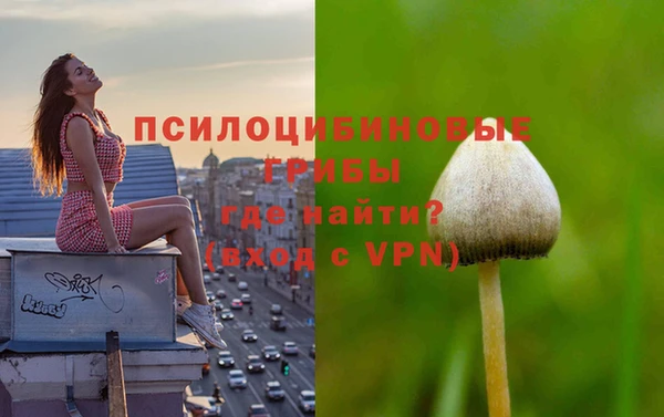 PSILOCYBIN Арсеньев
