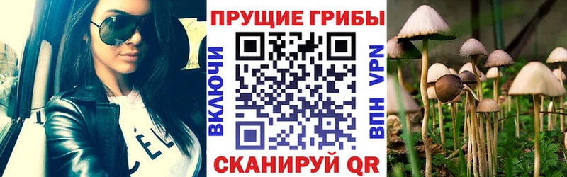 Купить закладки  Мыски  Псилоцибиновые грибы Psilocybine cubensis 